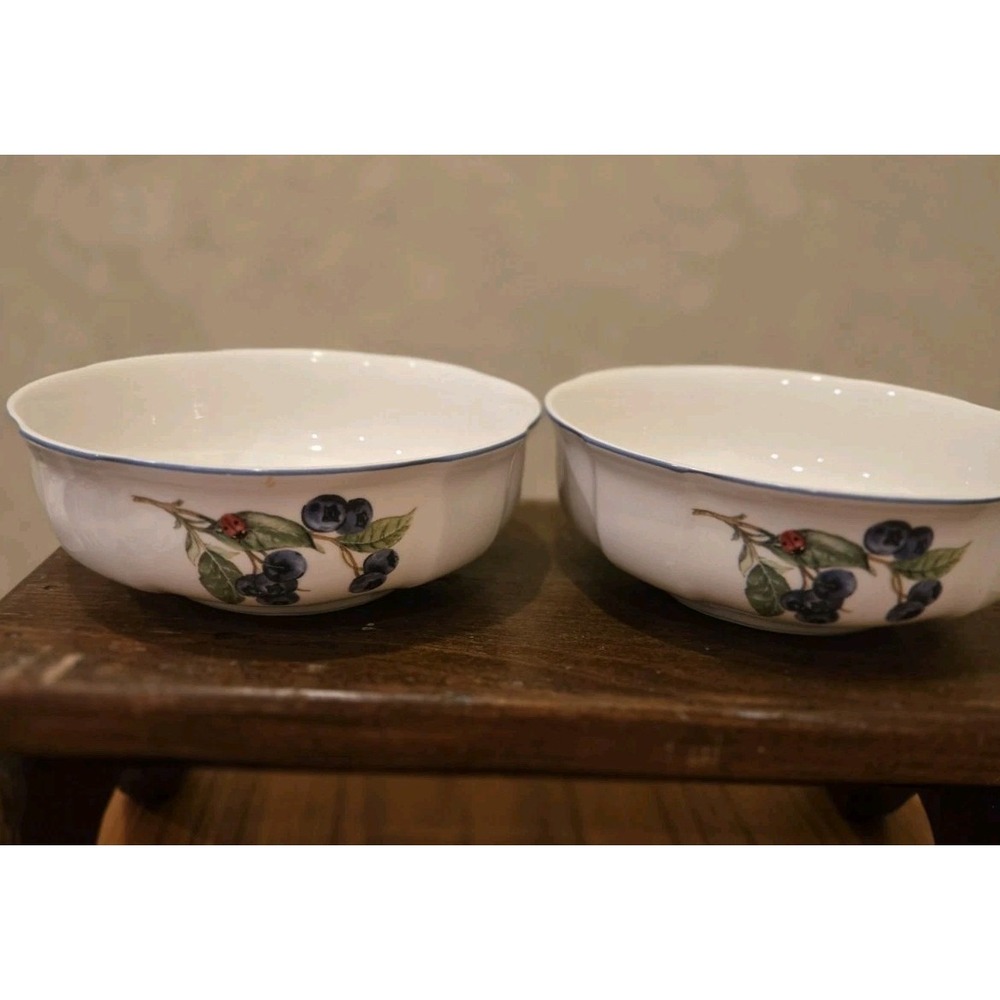 Set Of Two Villeroy & Boch Cottage Country Cereal Soup Bowls w/ Blueberries